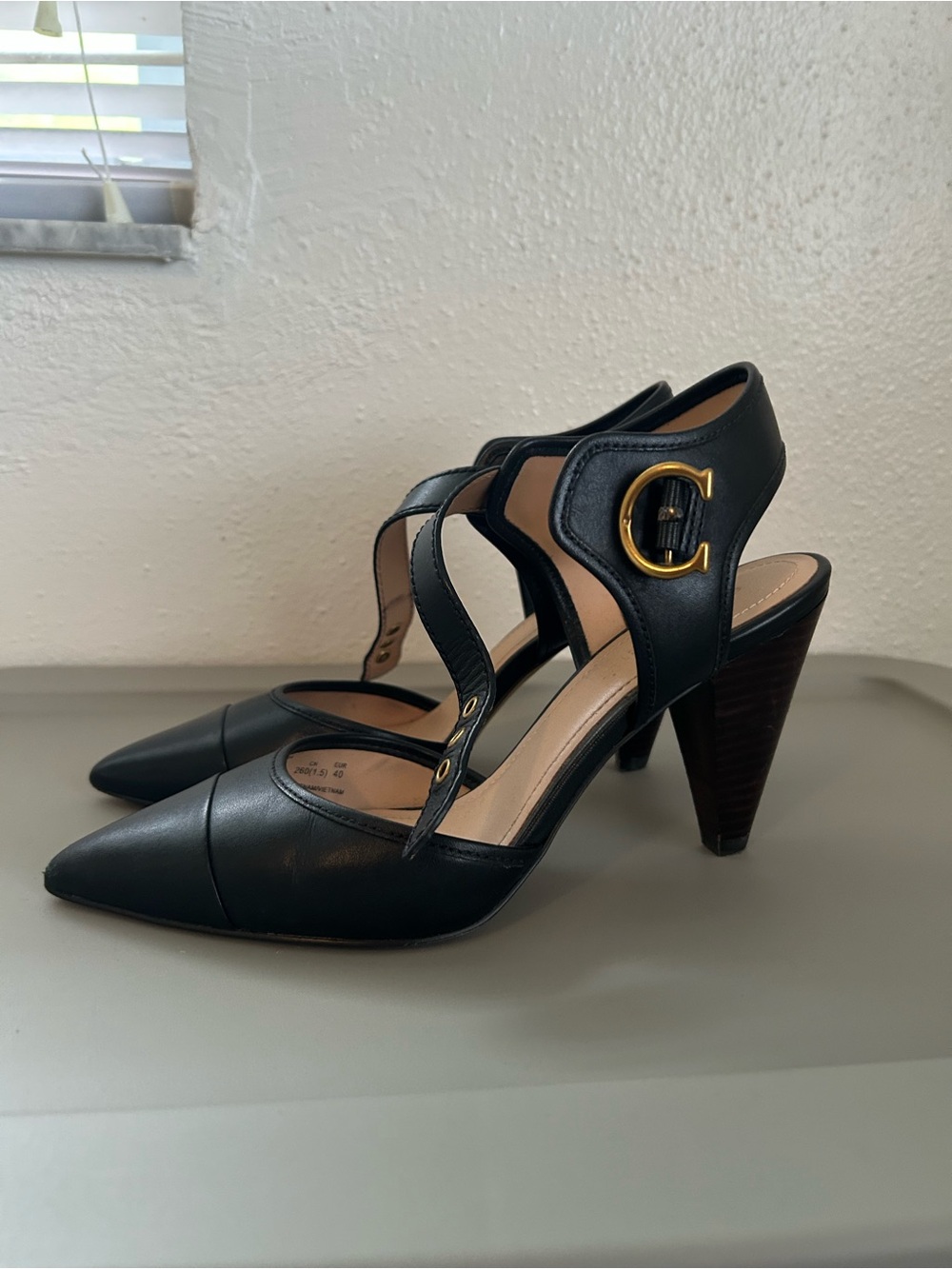 Black Leather Pointed-Toe Heels with Gold Buckle